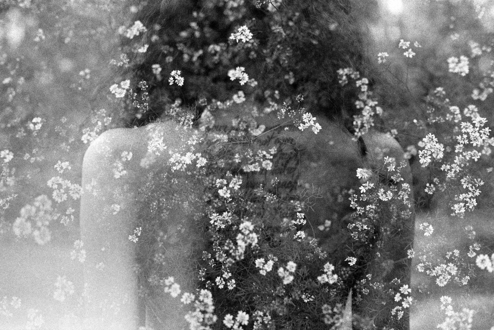 Houda Kabbaj, Sans Titre