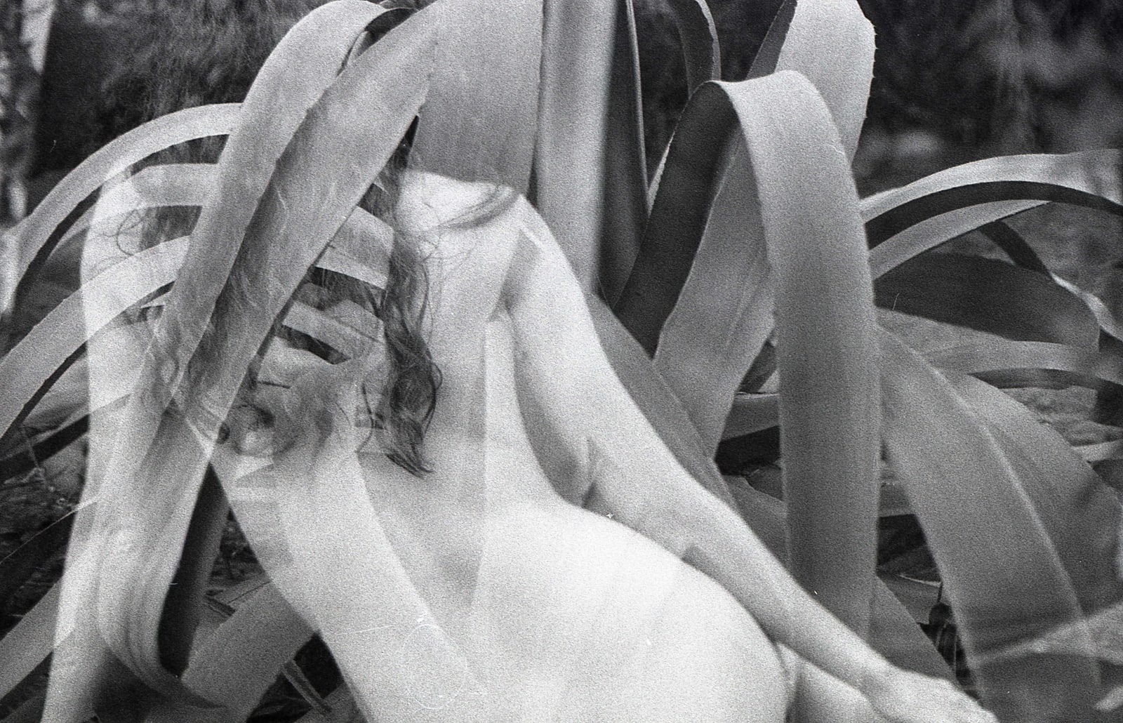 Houda Kabbaj, Sans Titre