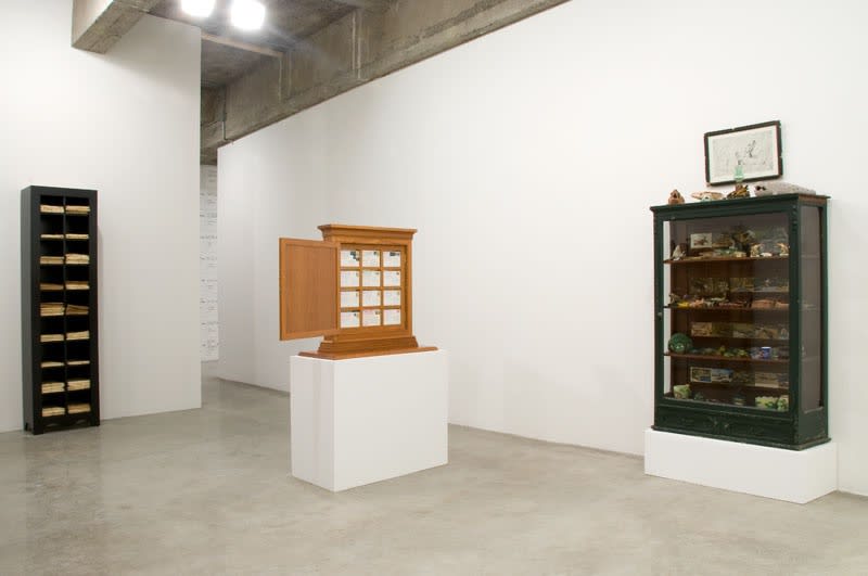 TRAVELS OF WILLIAM BARTRAM - RECONSIDERED installation image