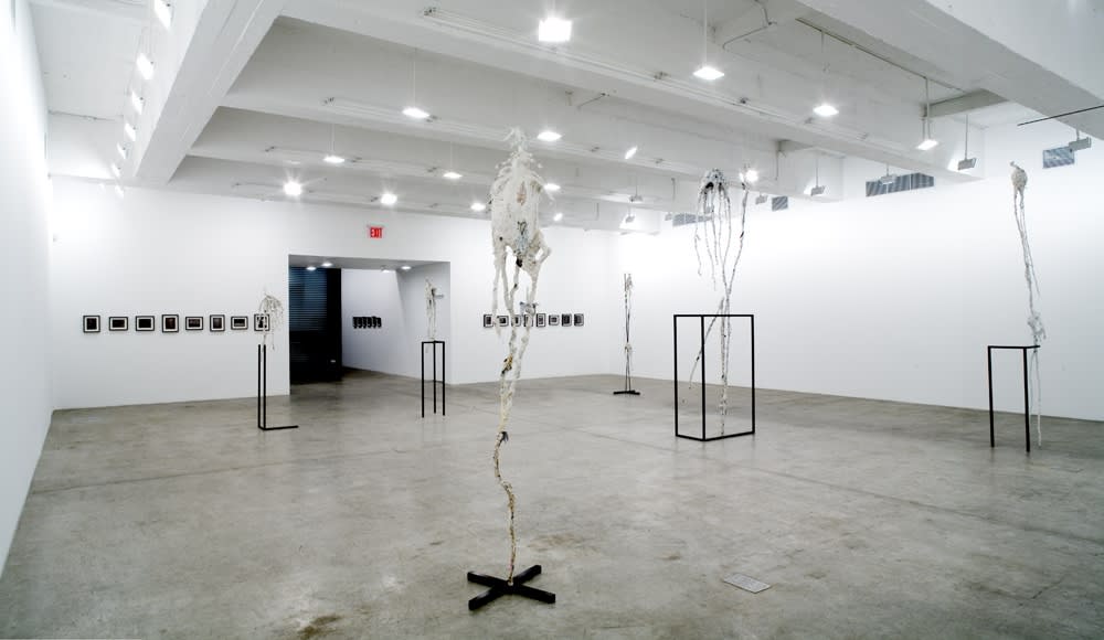 Charles Long installation view at TBG, bird sculptures