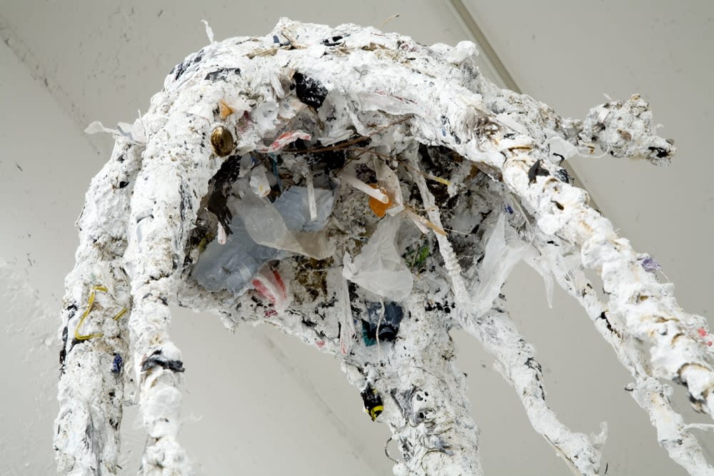 Charles Long installation view at TBG, bird sculptures