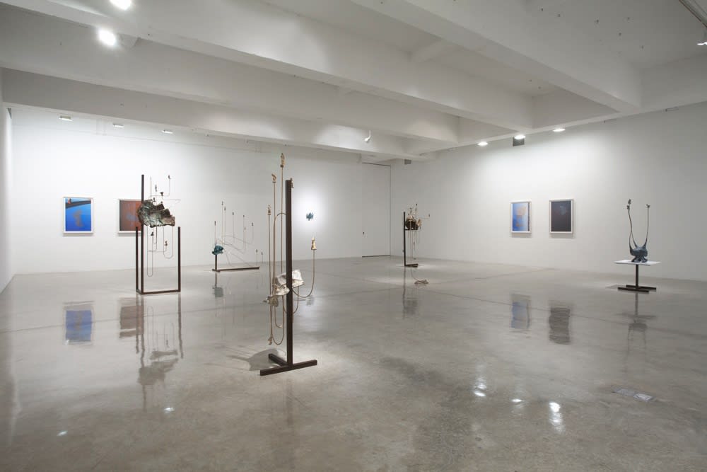 Charles Long installation view at TBG, sculptures