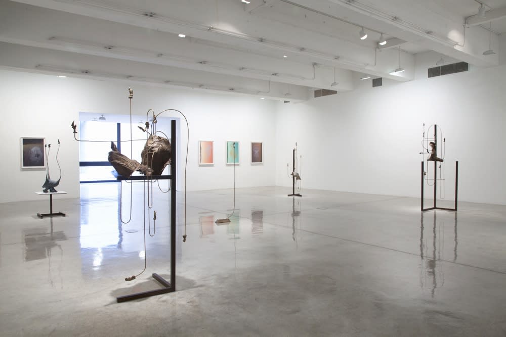 Charles Long installation view at TBG, sculptures