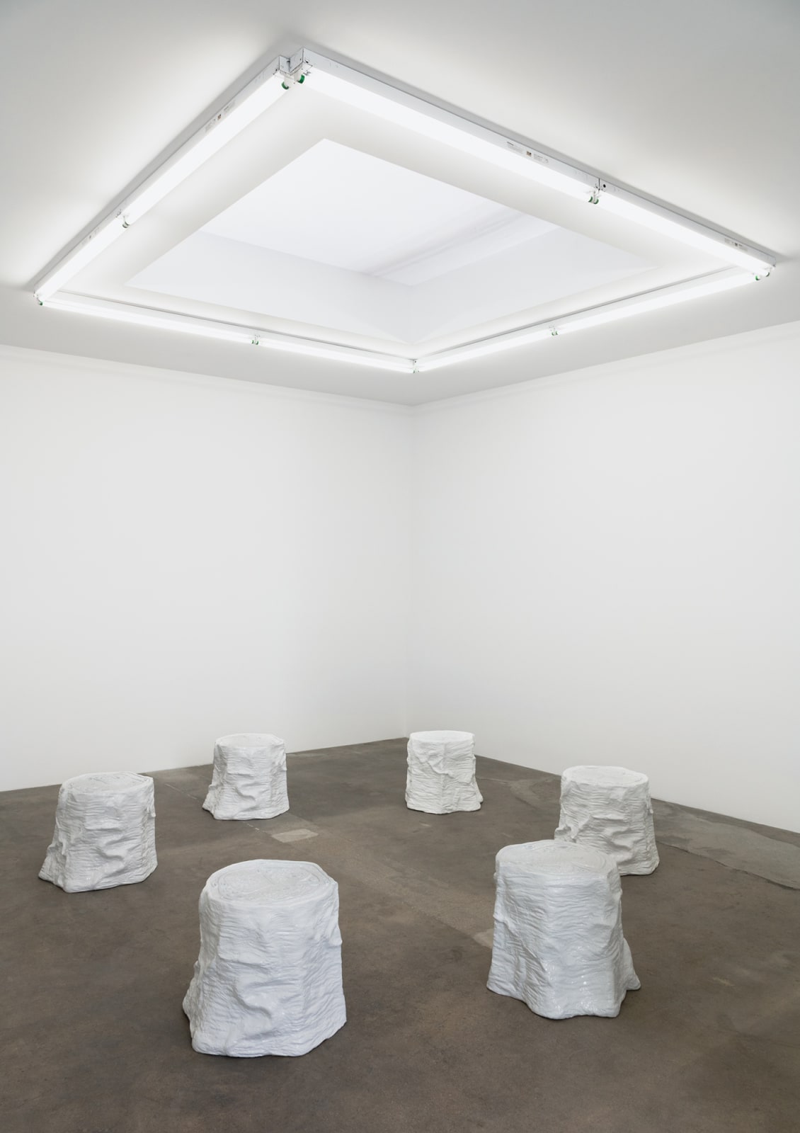 Charles Long installation view at TBG, stump circle