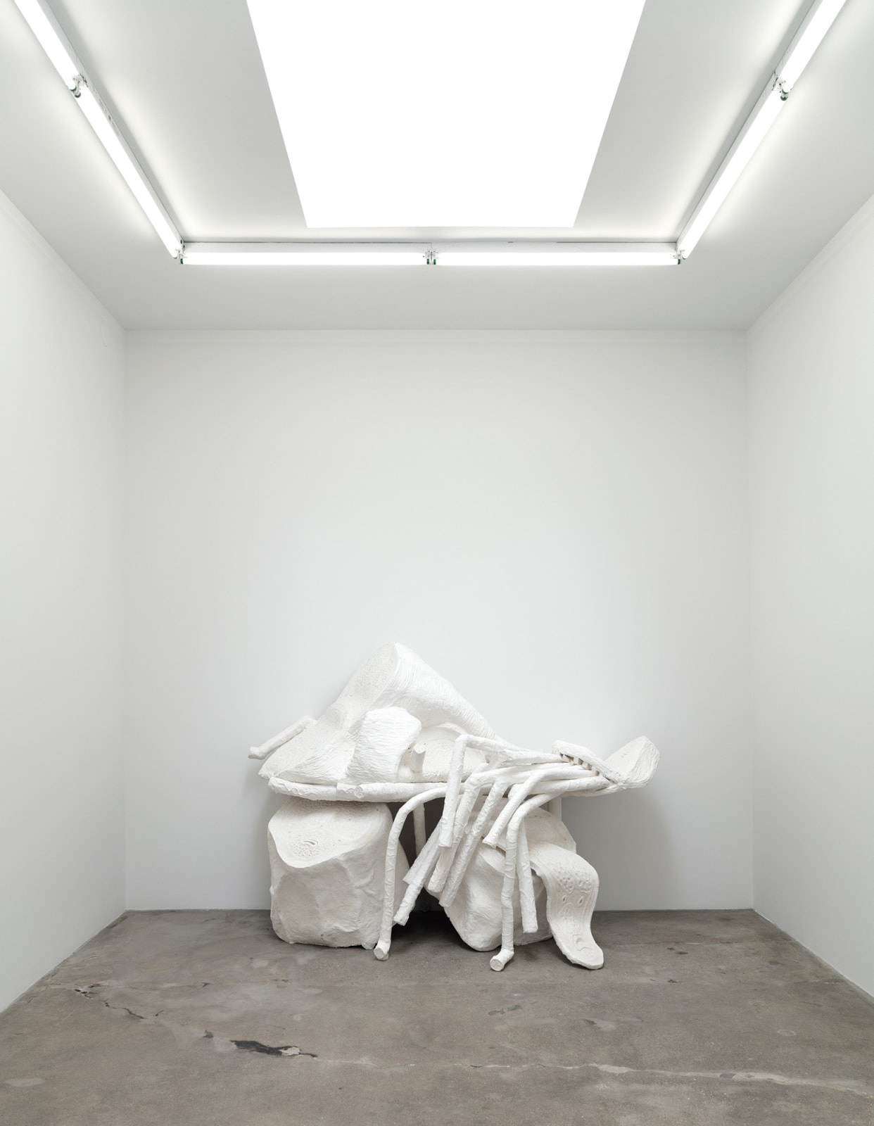 Charles Long installation view at TBG