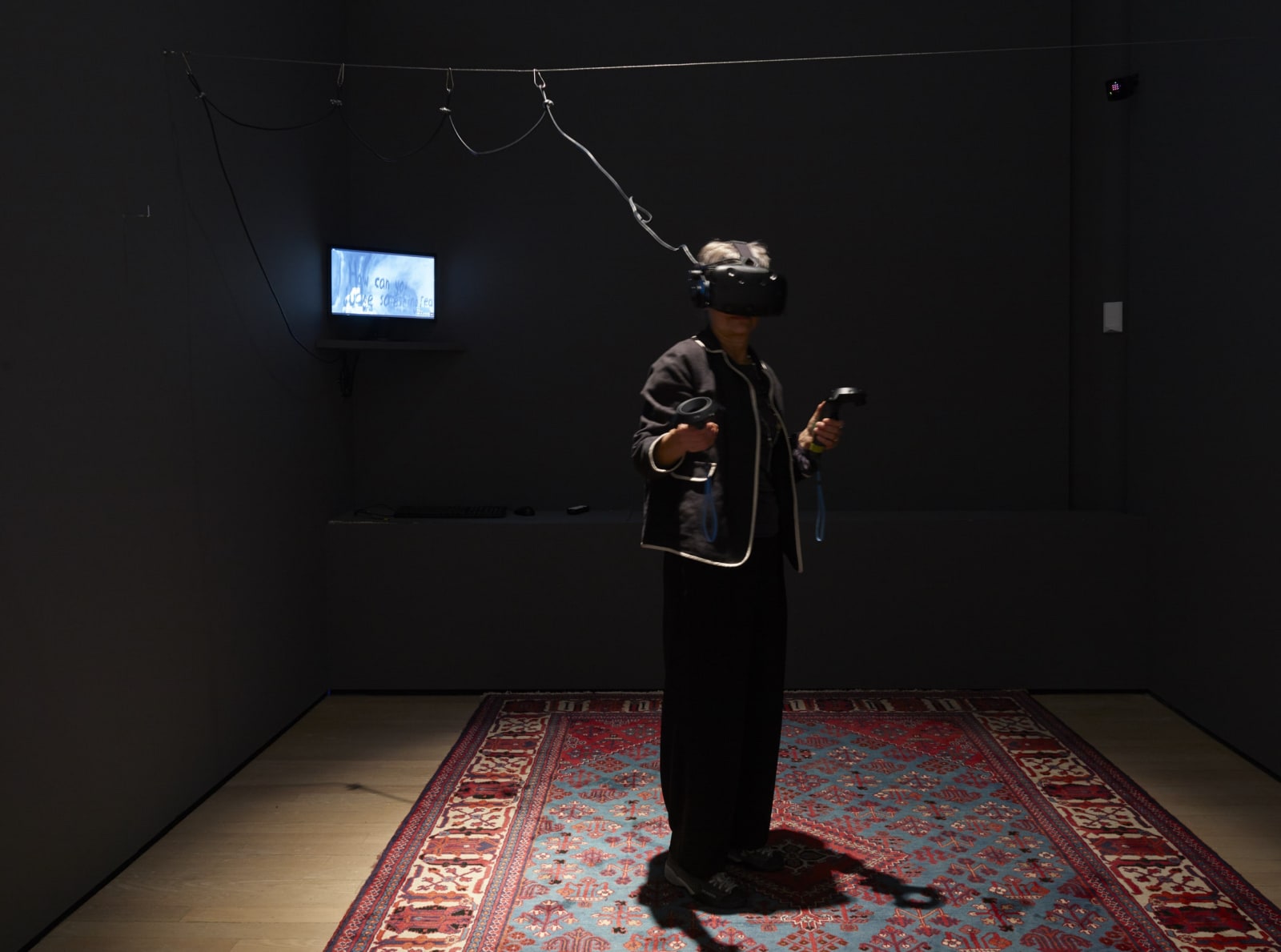 Djurberg & Berg VR