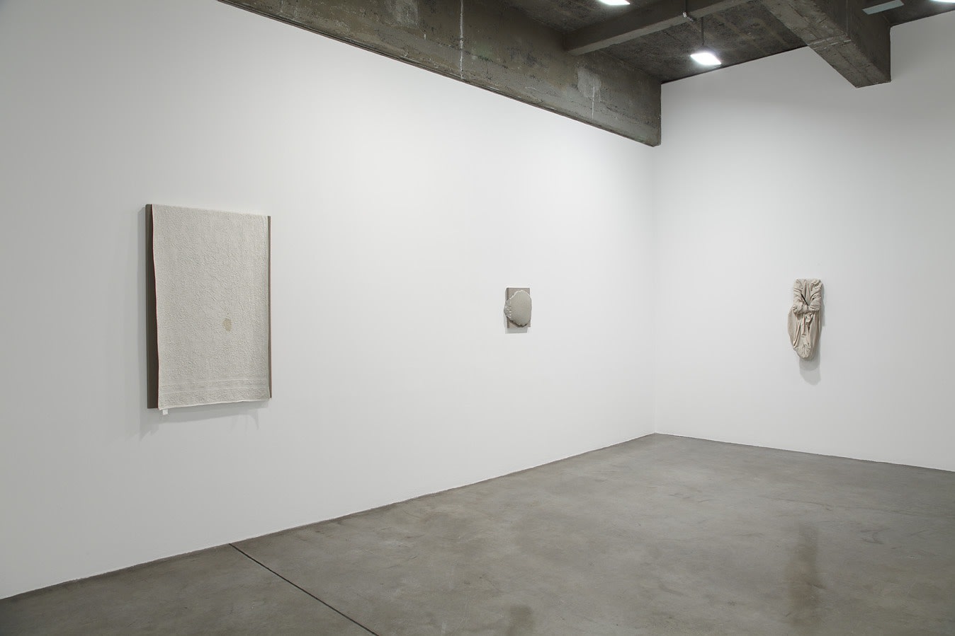 image of saban paintings installed at TBG