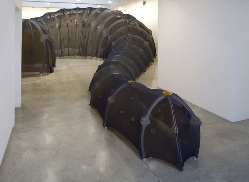 Ernesto Neto tunnel made of fabric