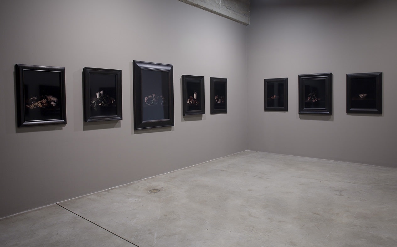 installation view of Collishaw photos