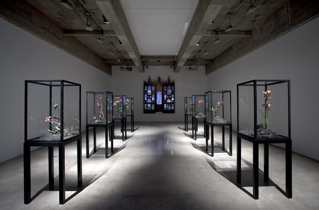 installation view of Collishaw sculptures