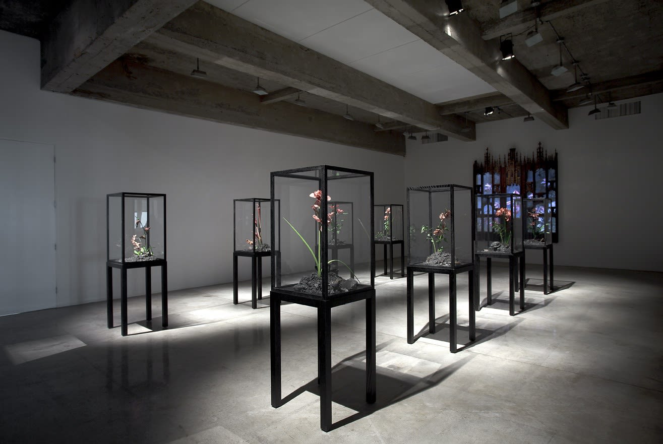 installation view of Collishaw sculptures