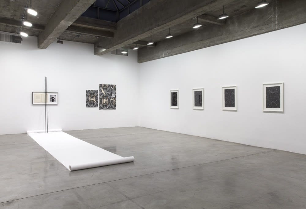 Dirk Stewen installation view