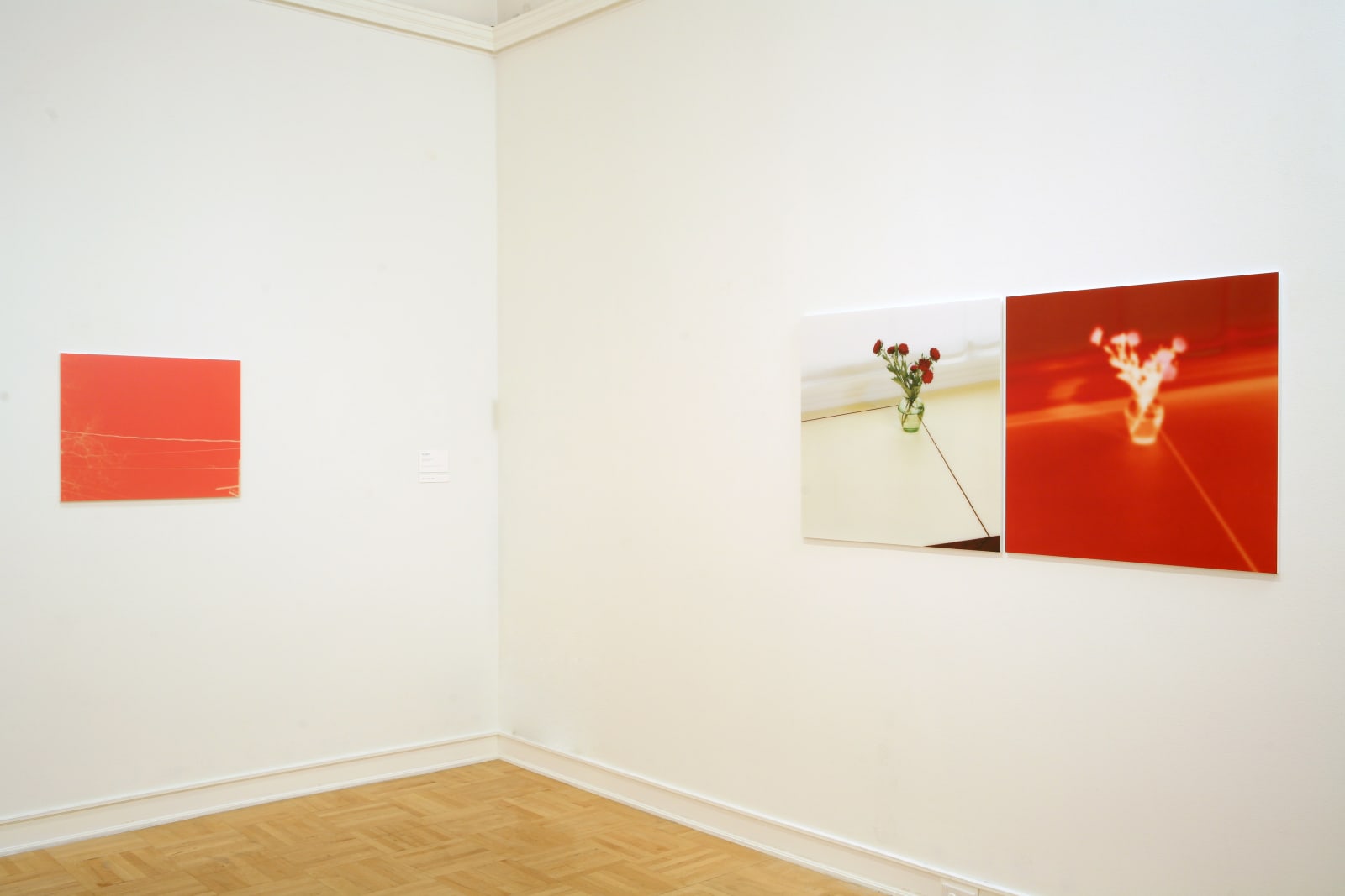 Uta Barth photography series at Henry Art Gallery