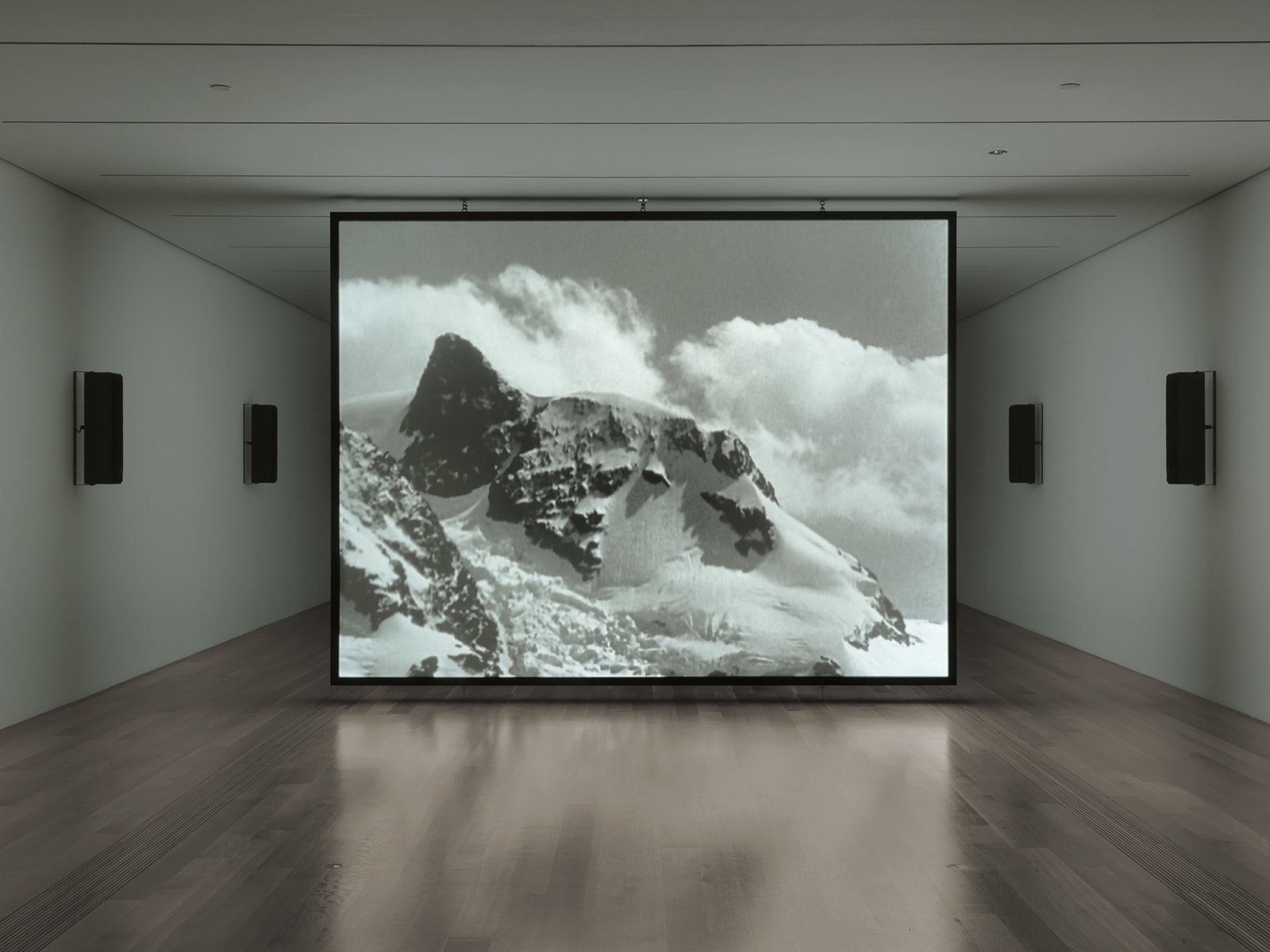 video installation at Pulitzer Arts Foundation