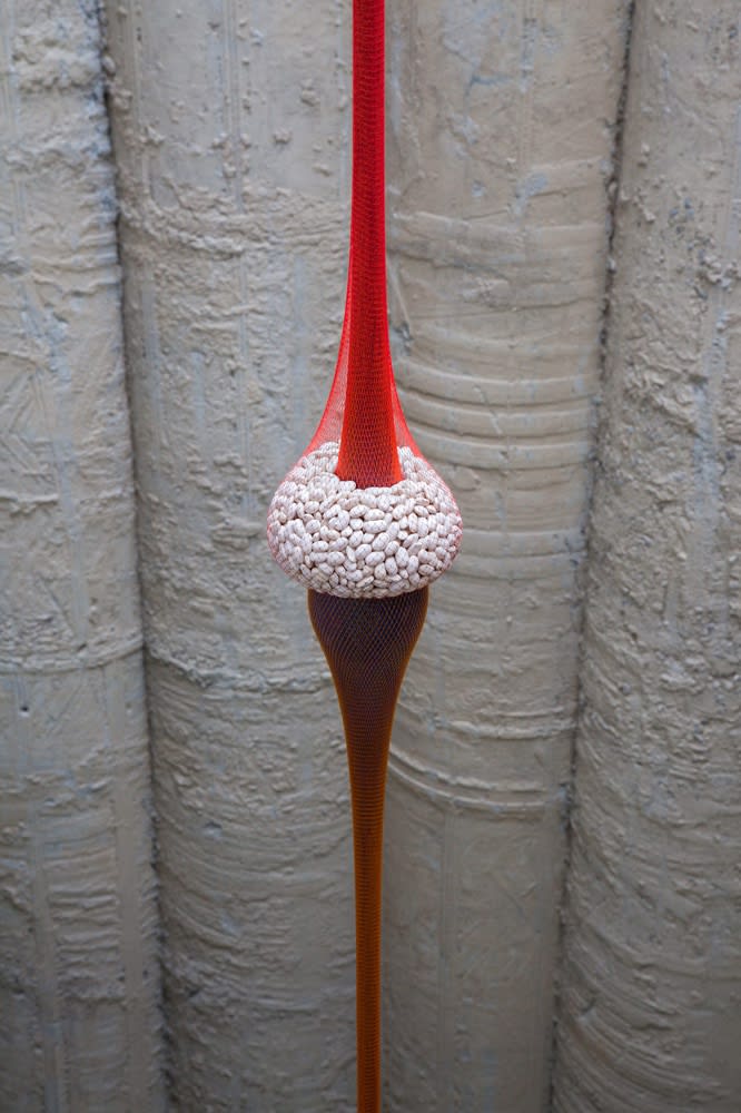 drop of fabric with beans