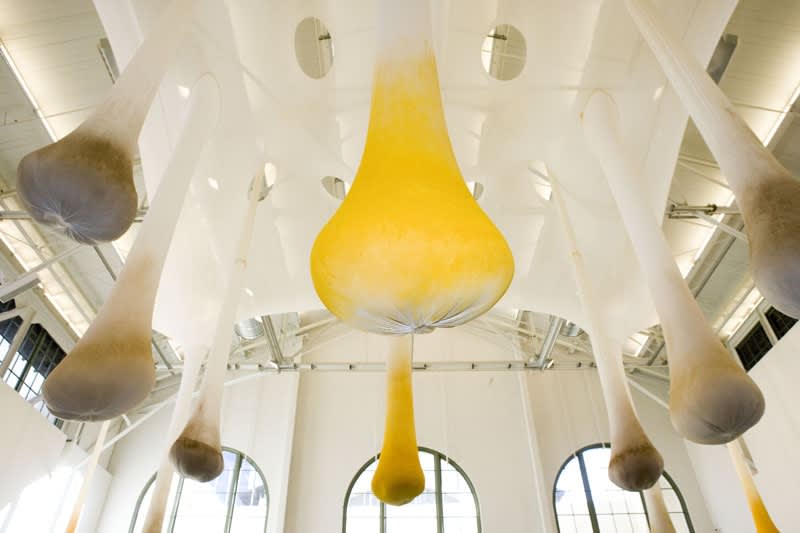 Ernesto Neto spices hanging from ceiling