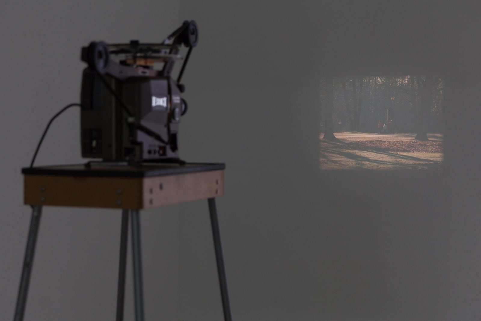 projected video installation