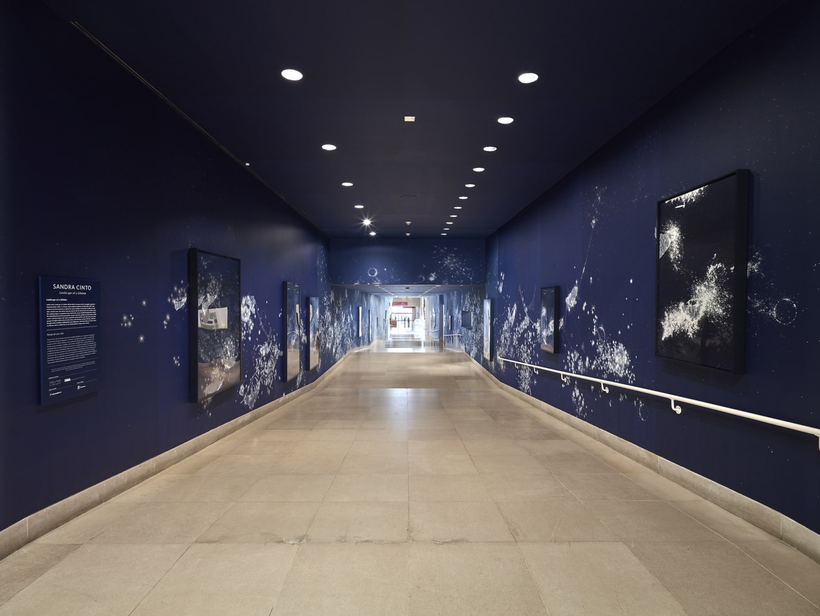 Sandra Cinto mural painting fading from dark blue to light blue