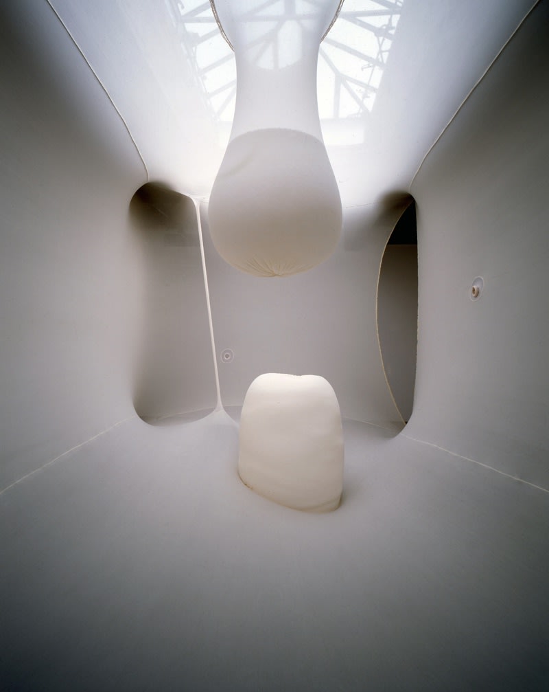 Ernesto Neto installation view of fabric transparent room