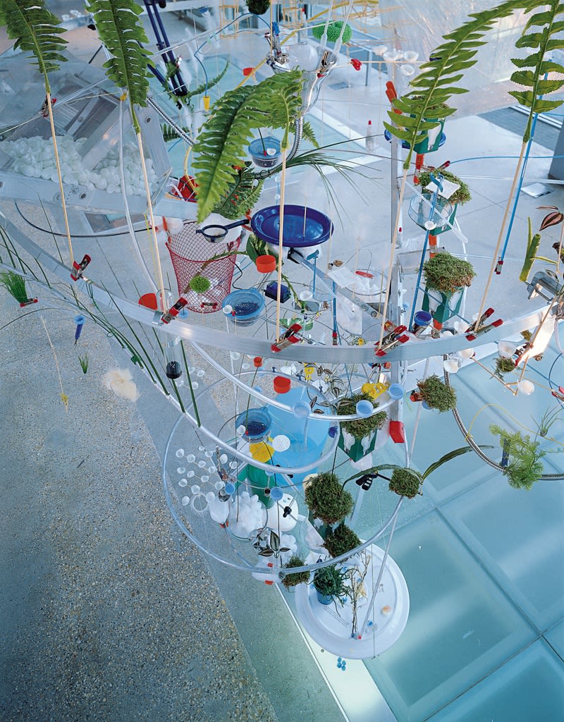 Image of Sarah Sze installation of ladders and other objects circling from ceiling to floor