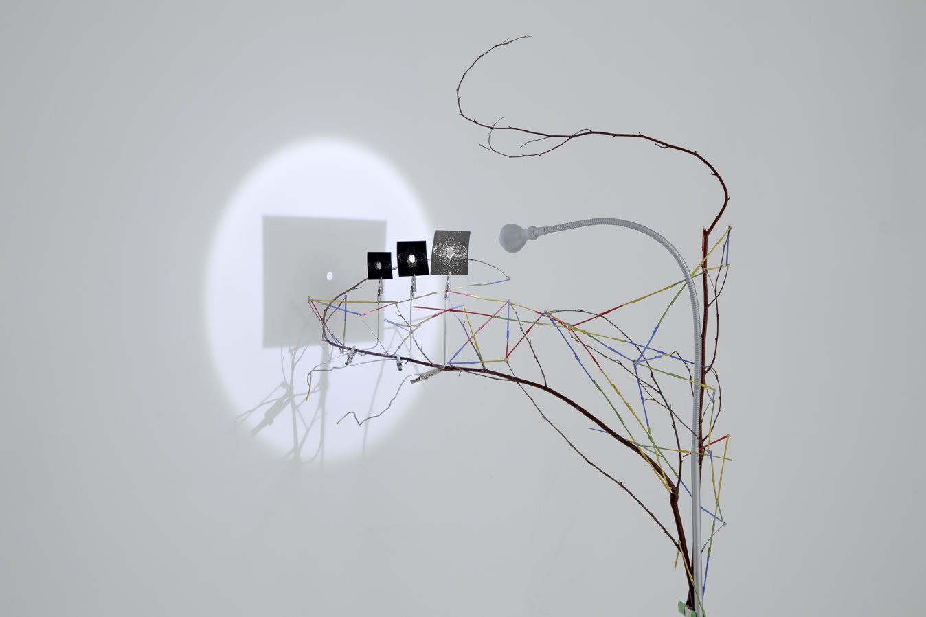 Image of sculpture with branches, paper, and light