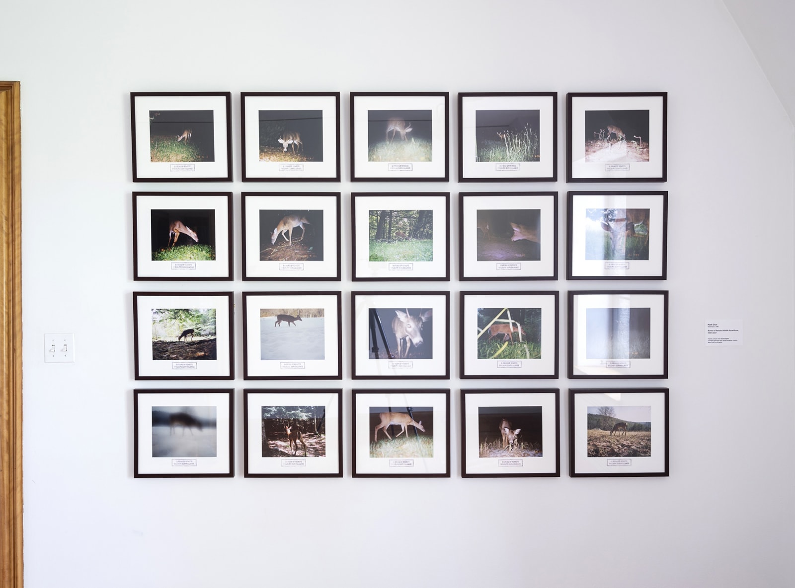 image of photo series in grid