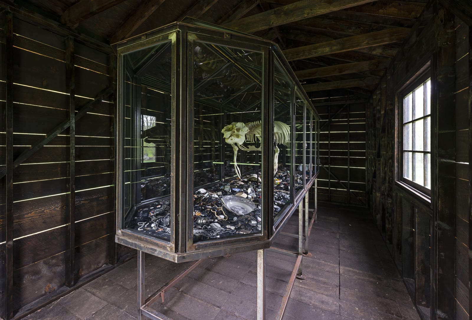 Image of Mark Dion follies at Storm King, case with skeleton of animal