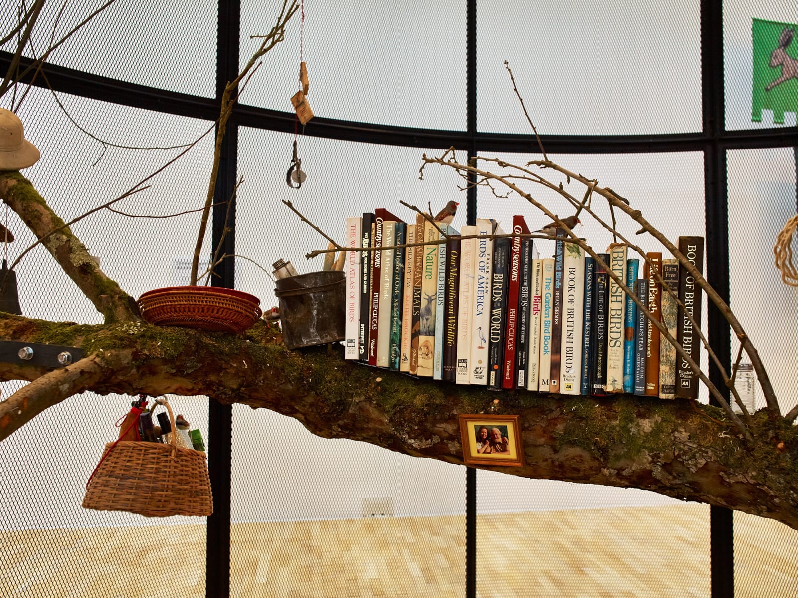 Image of Mark Dion bird cage