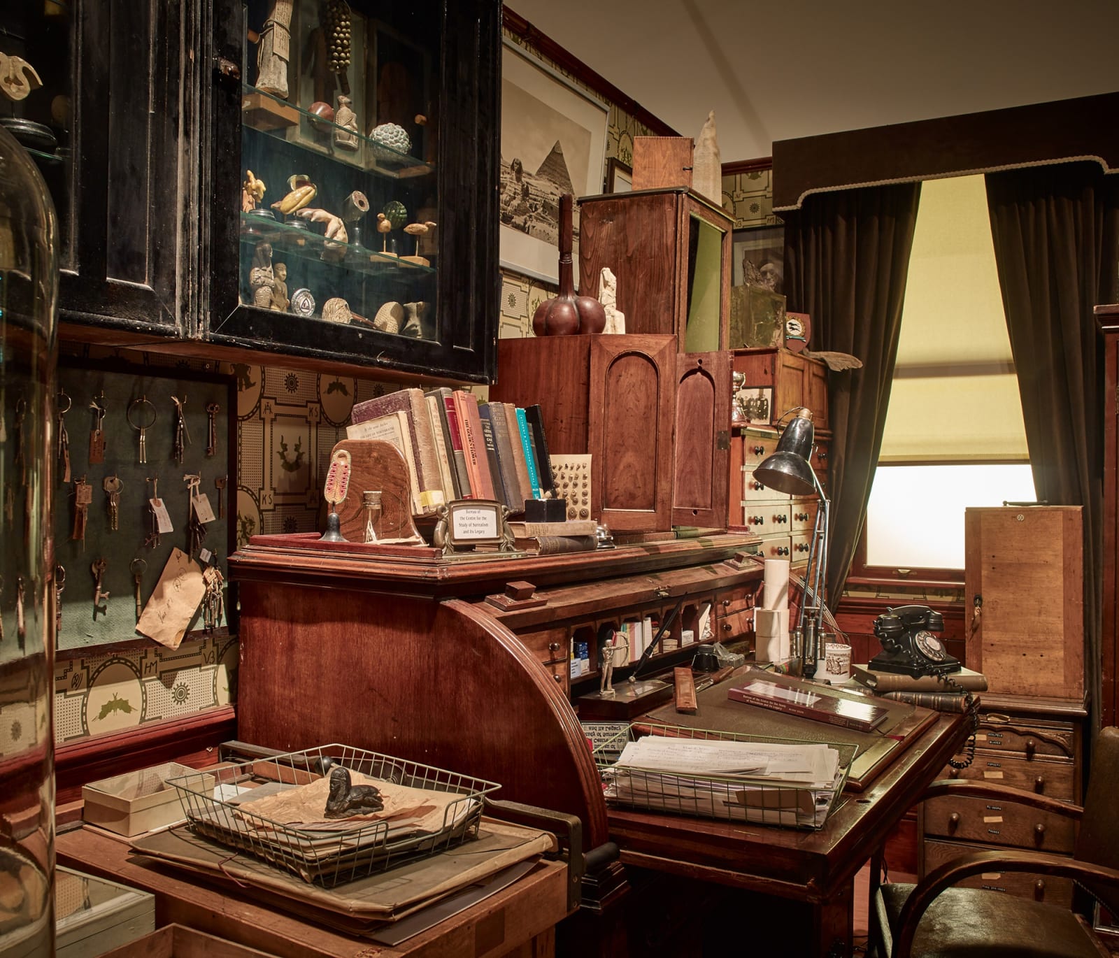image of Mark Dion inside of room installation