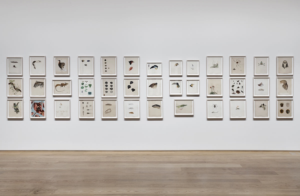 Image of installation at The Drawing Center