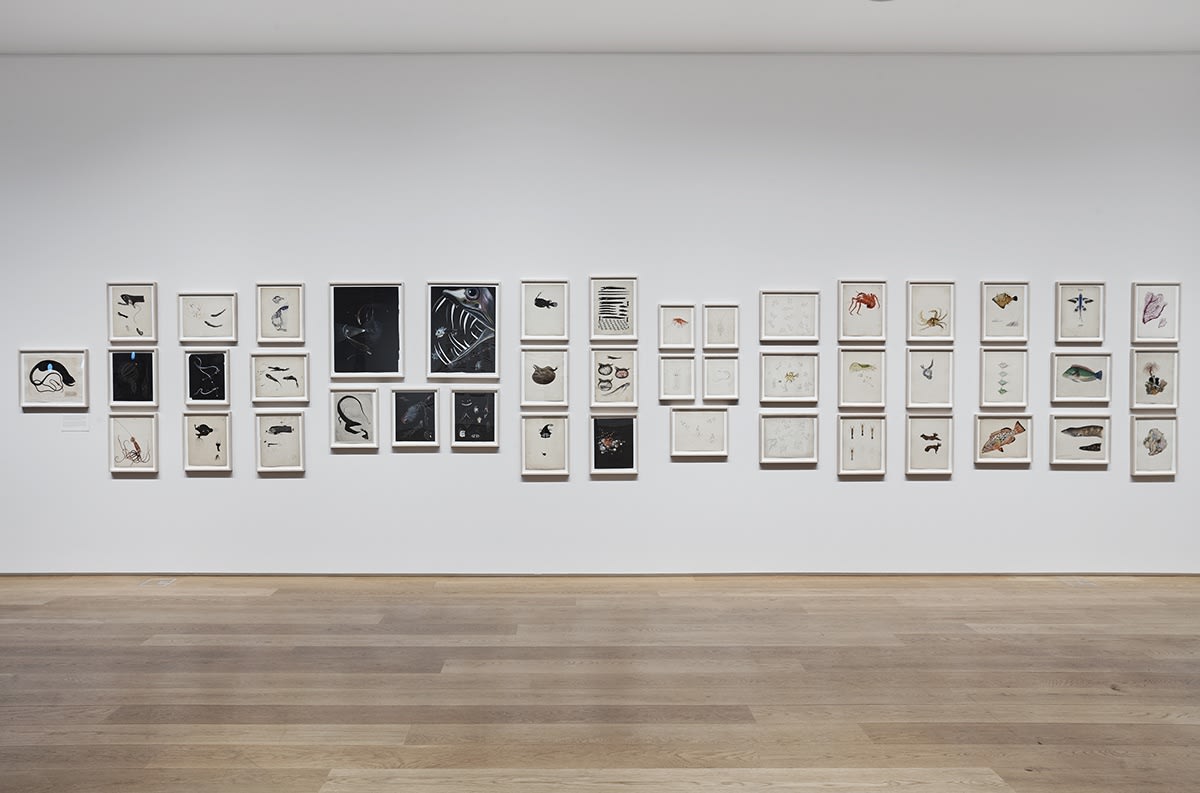 Image of installation at The Drawing Center