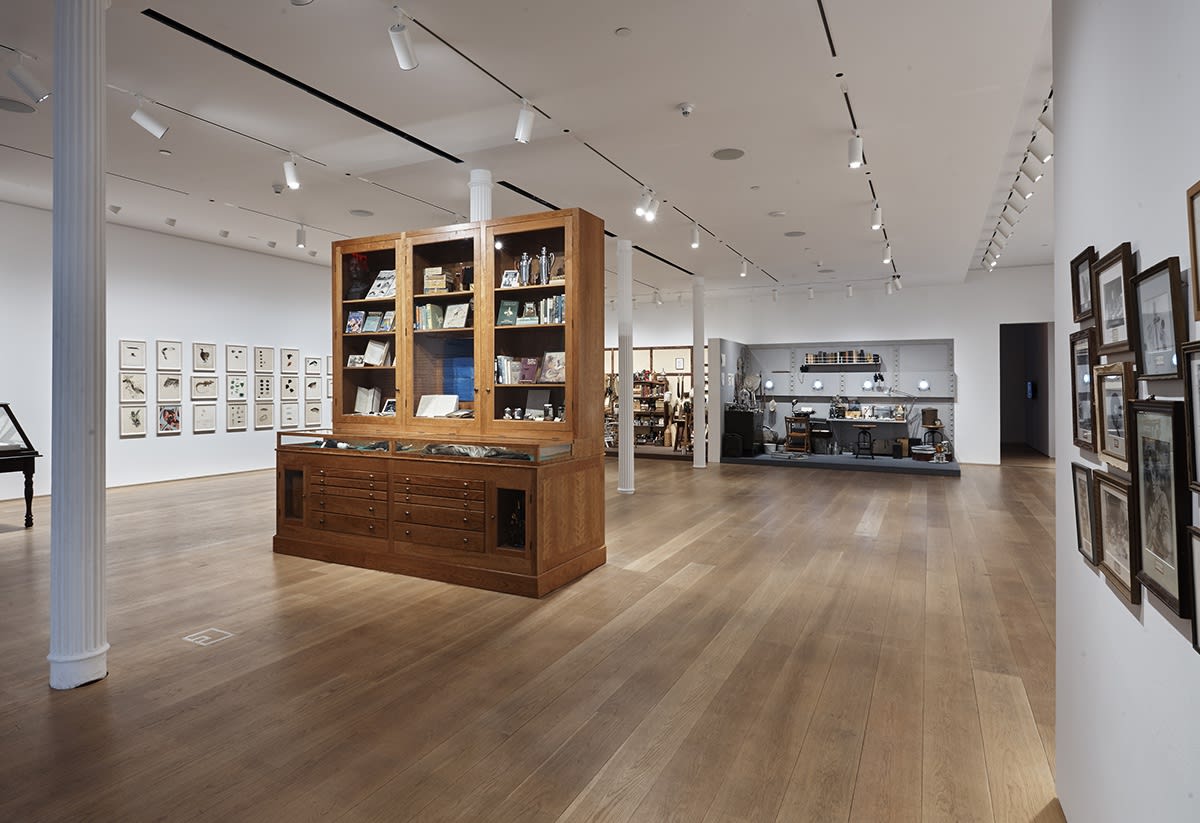 Image of large cabinet in exhibition space