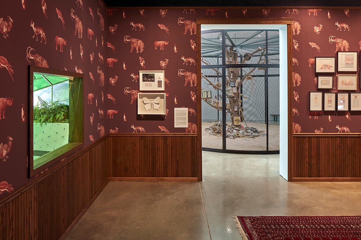 Image of Mark Dion sculptures at ICA Boston