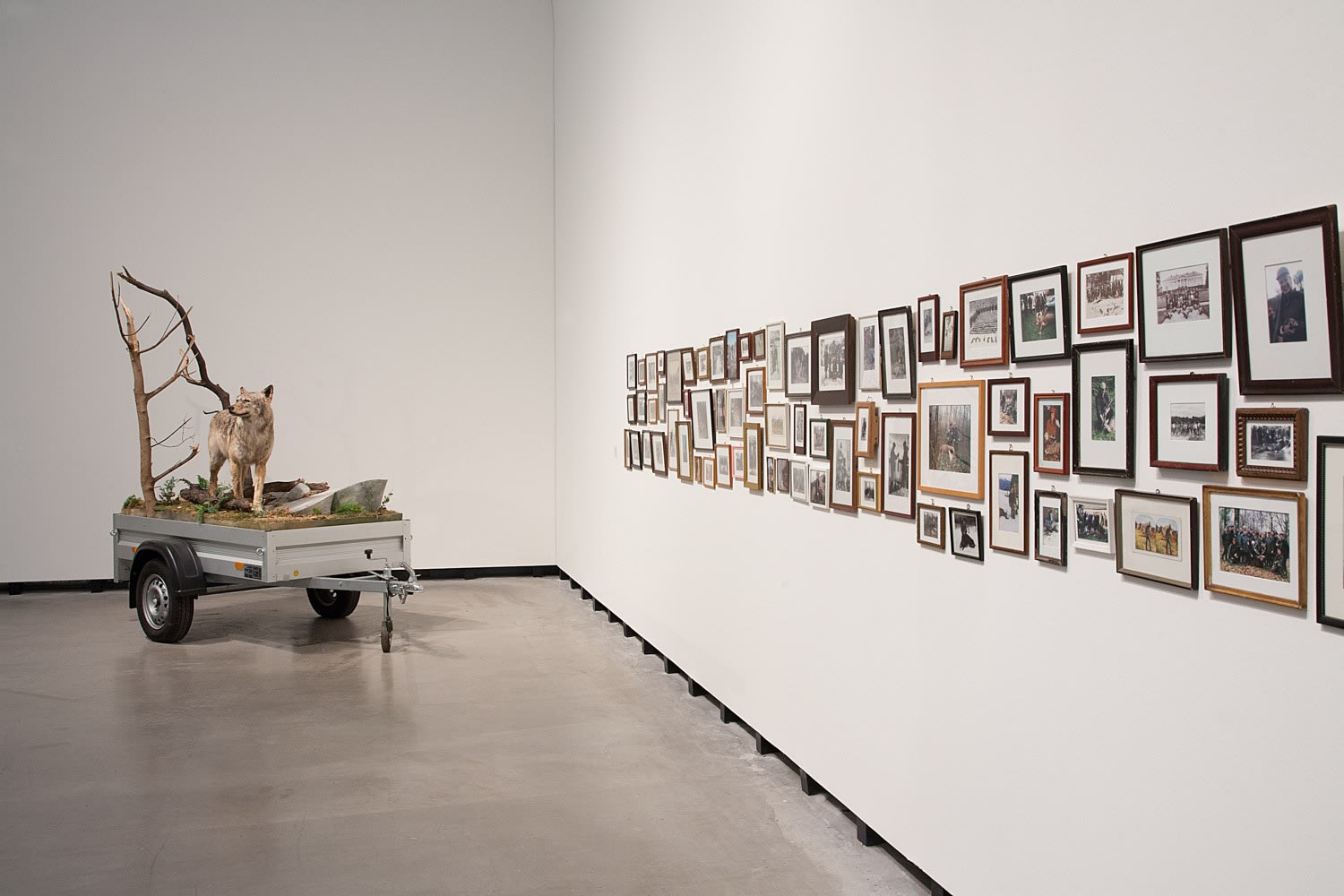 Image of Mark Dion exhibition, men in game photo series
