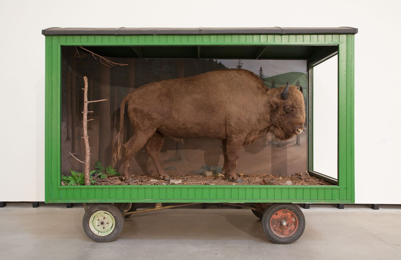 Image of Mark Dion exhibition installation view, large animal