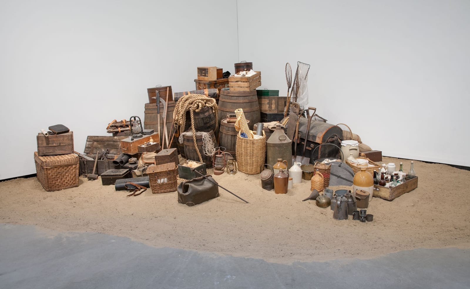 Image of Mark Dion exhibition installation view
