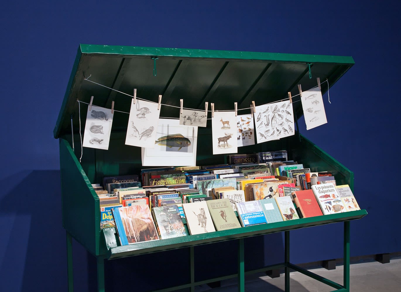 Image of Mark Dion exhibition installation view