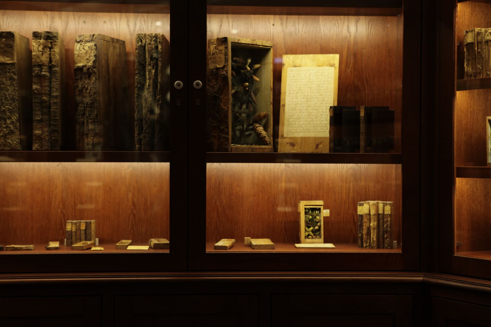 Image of Mark Dion installation, large circular bookcase cabinet