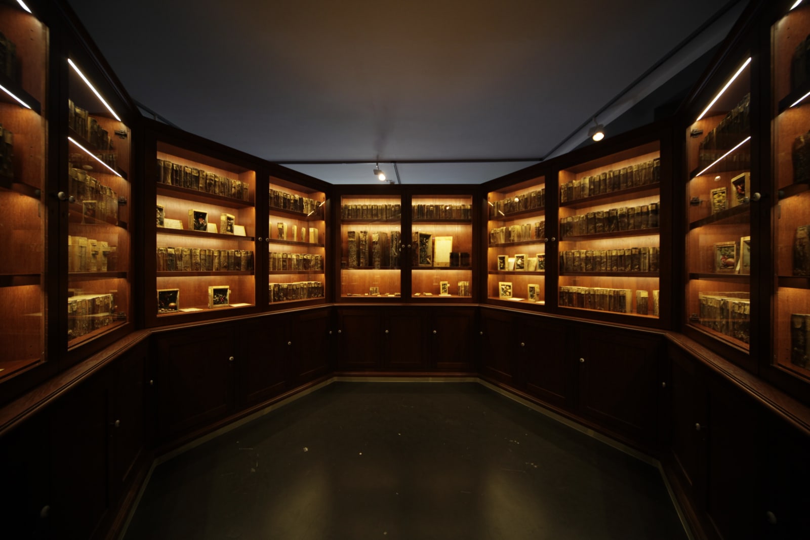 Image of Mark Dion installation, large circular bookcase cabinet