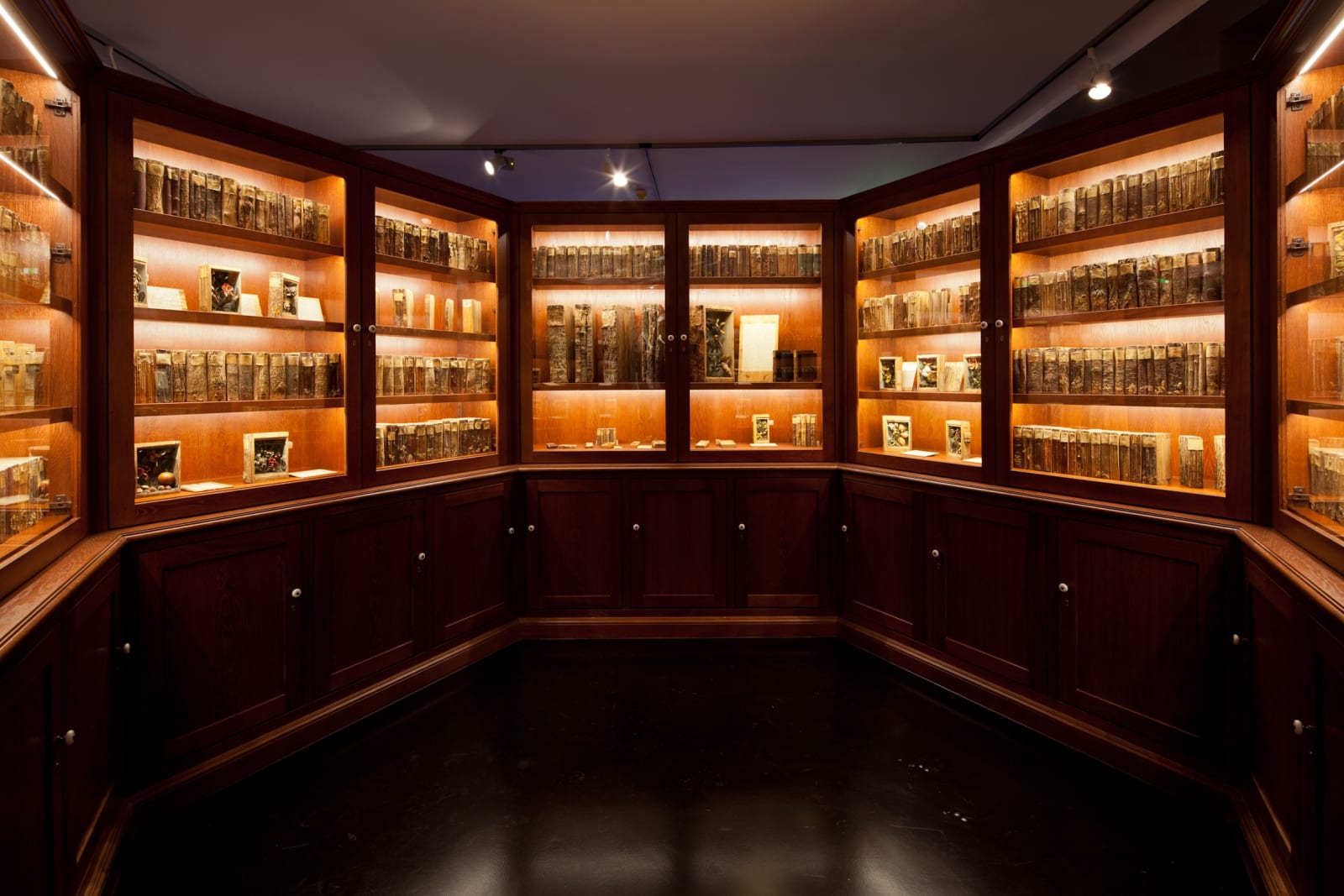Image of Mark Dion installation, large circular bookcase cabinet