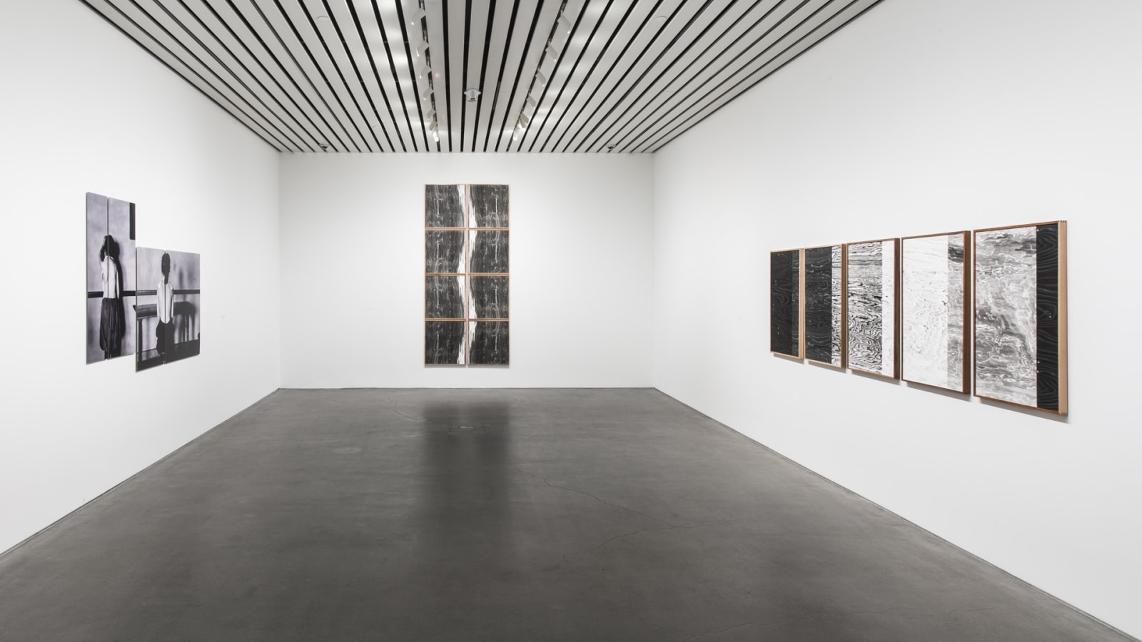 Image of Lisa Oppenheim tree grain photograms