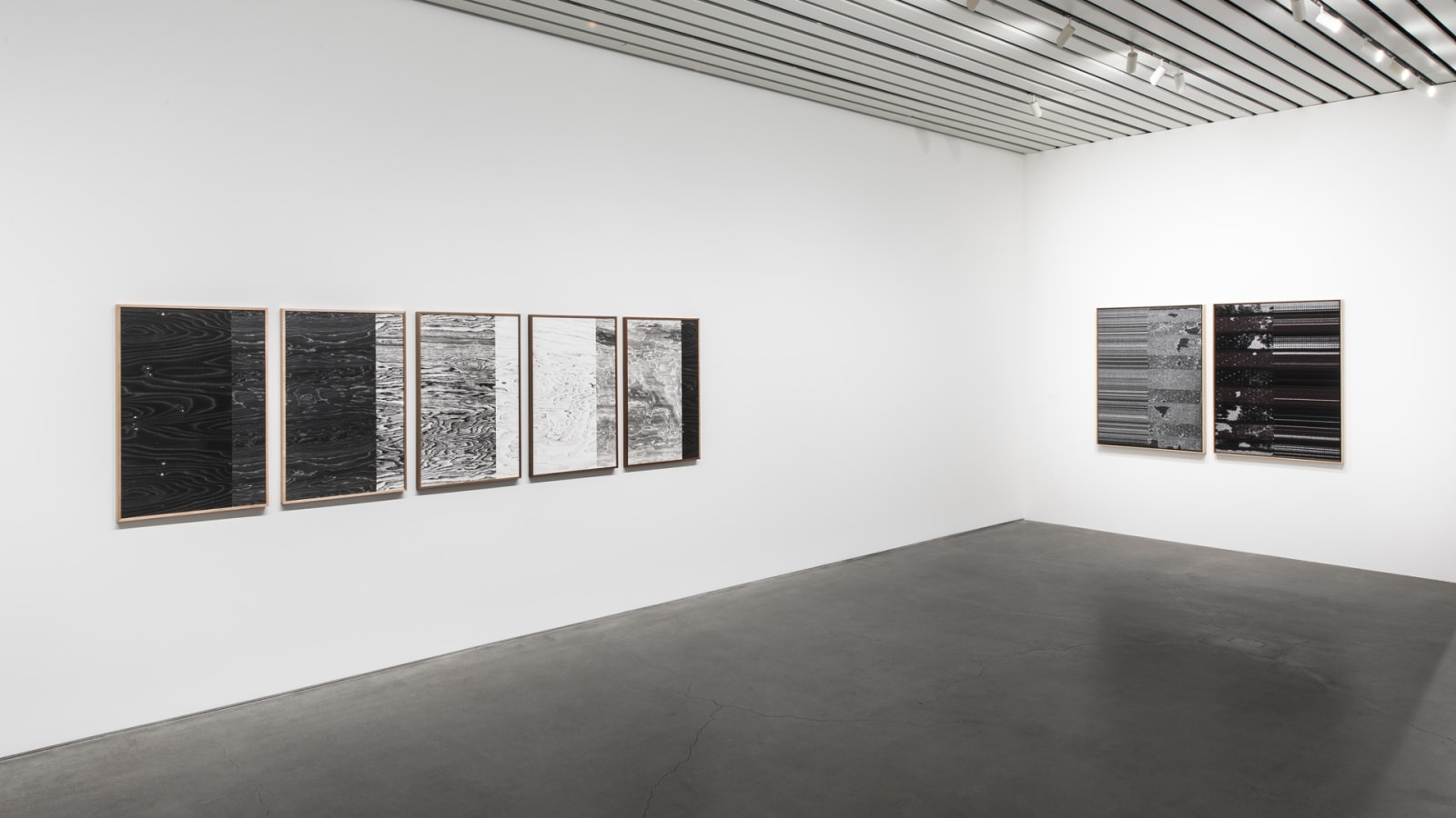 Image of Lisa Oppenheim spine photographs and tree grain
