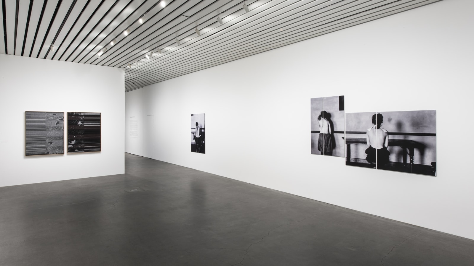 Image of Lisa Oppenheim spine photographs