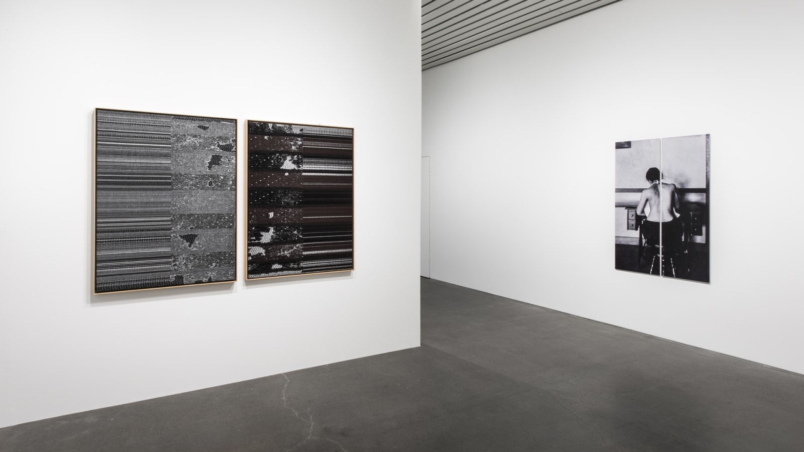 Image of Lisa Oppenheim spine photographs