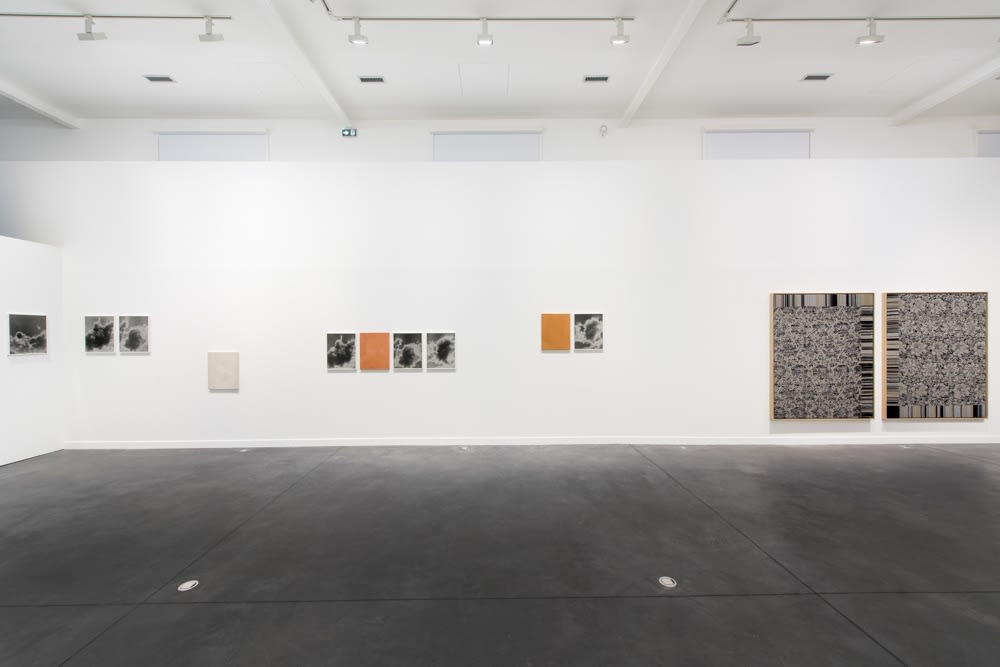 Image of Lisa Oppenheim photographs installation with smoke series