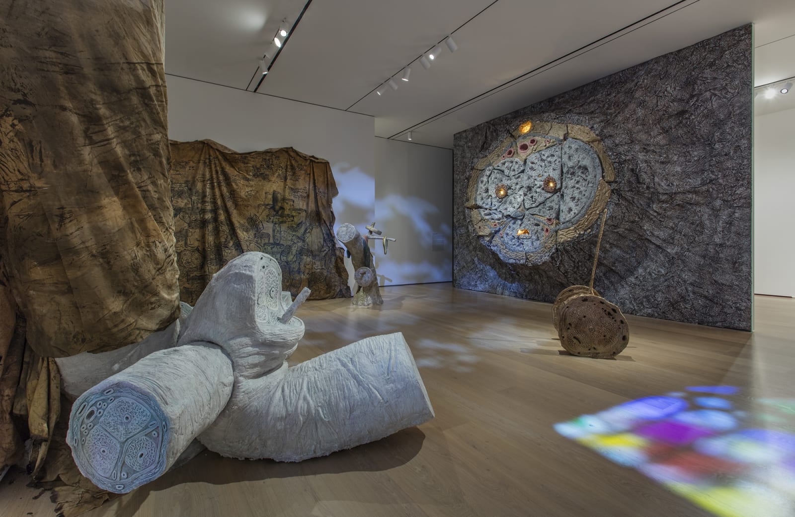image Charles Long sculptural installation in darkened gallery space