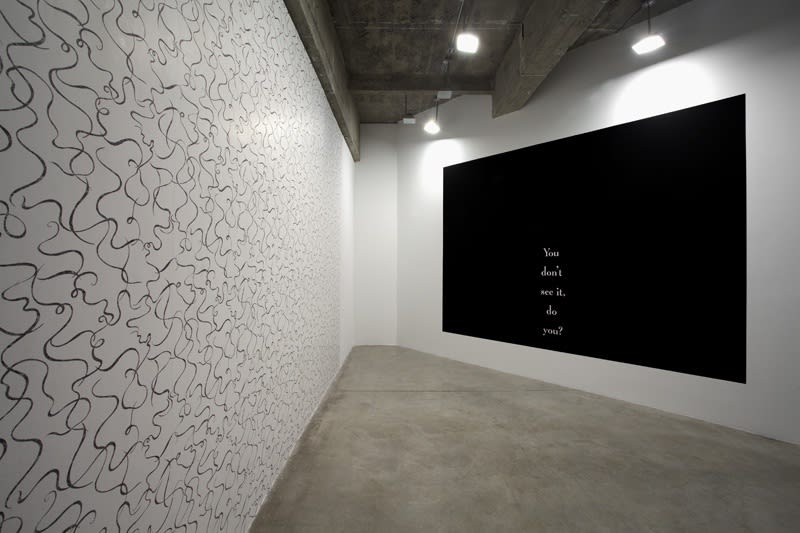 Haim Steinbach installation view of wall text