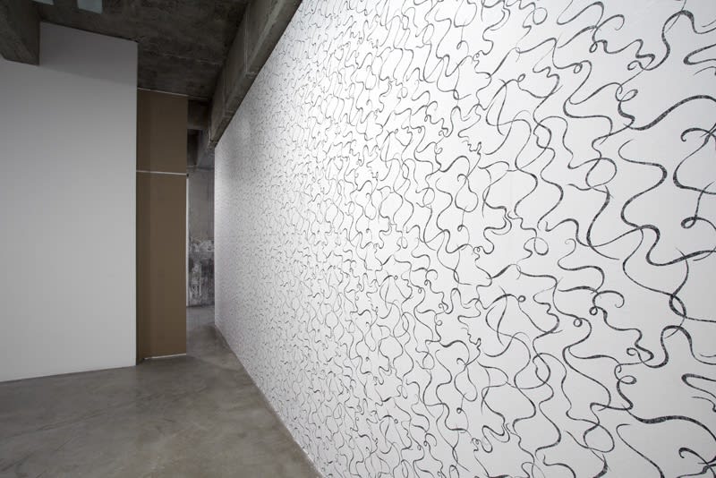 Haim Steinbach installation view of wall construction