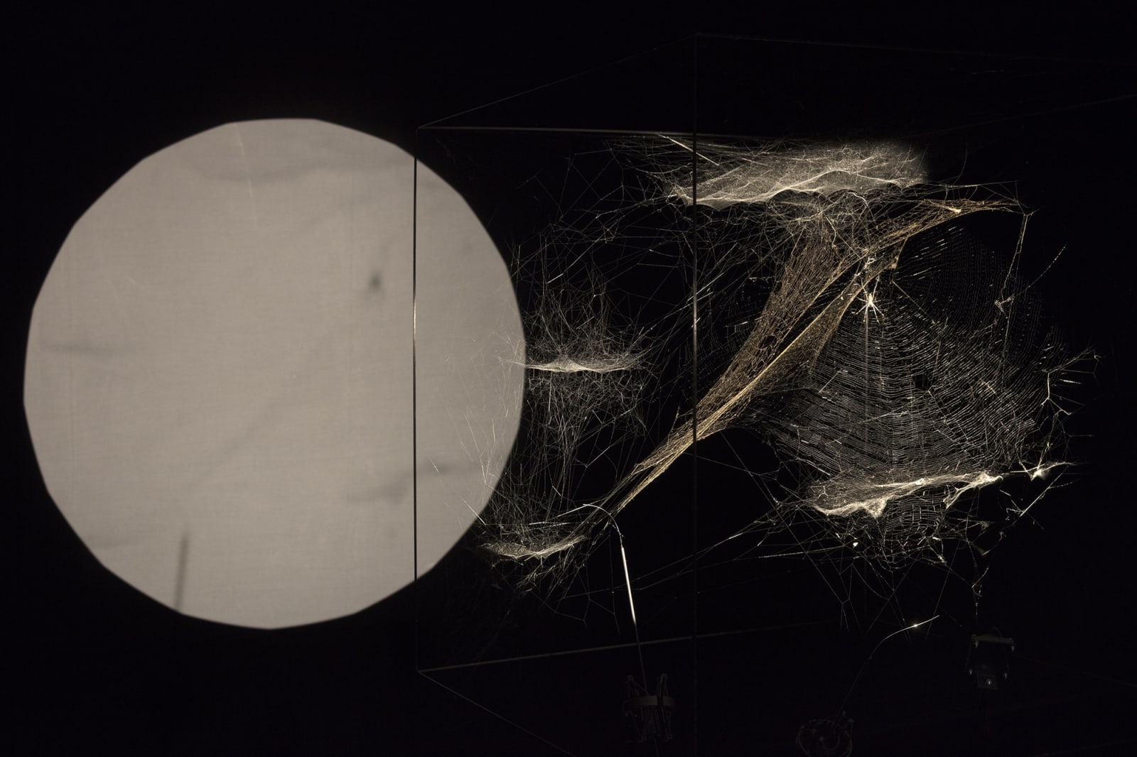 installation image of Saraceno exhibition at Palais de Tokyo