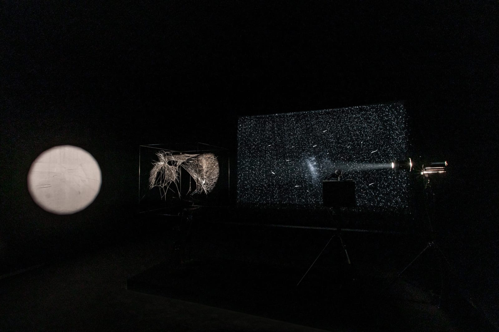 image of spotlit spider webs in dark room
